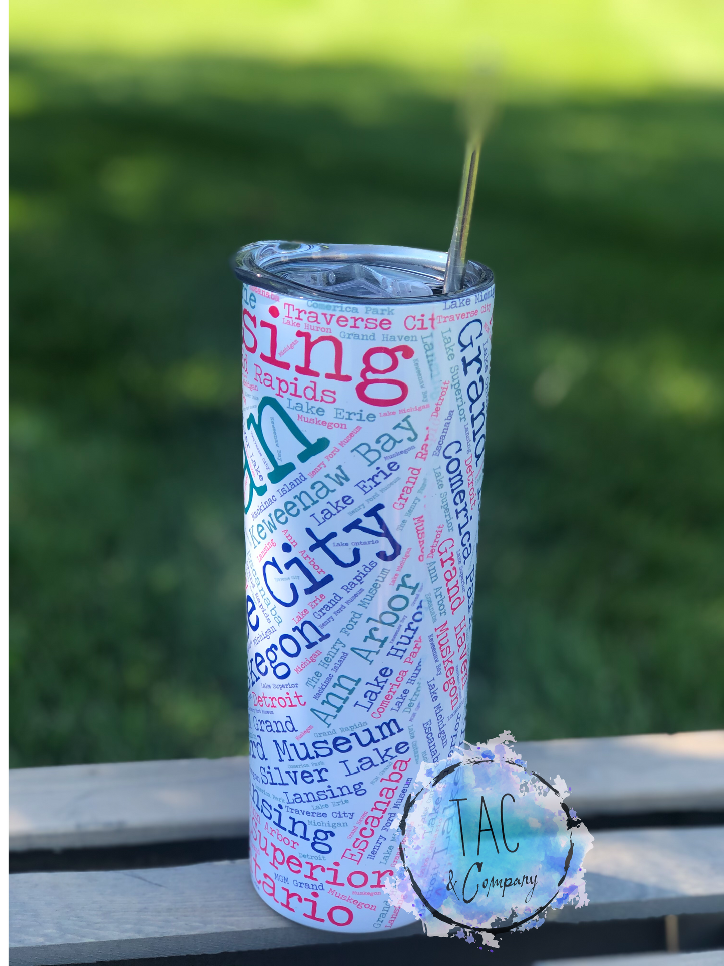 Michigan 20 oz Skinny Tumbler