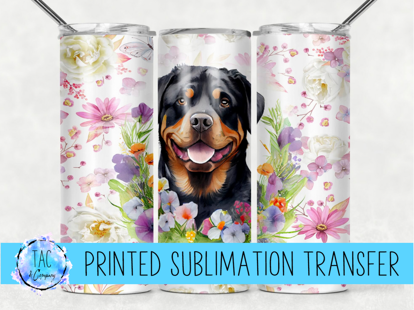 Rottweiler, Dog - Sublimation Print (This Is Not A Digital File)