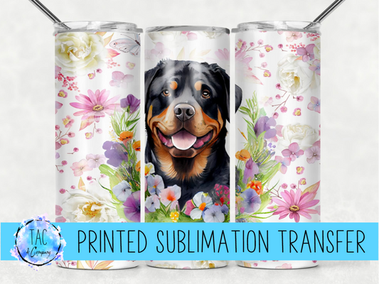 Rottweiler, Dog - Sublimation Print (This Is Not A Digital File)