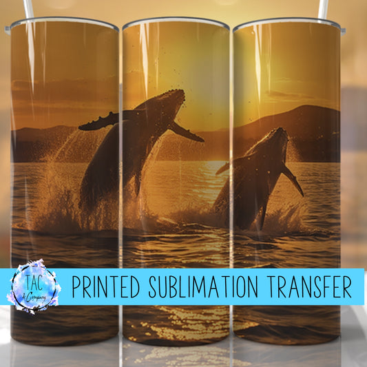 Whales - Sublimation Print (This Is Not A Digital File)