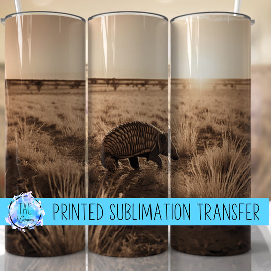 Armadillo - Sublimation Print (This Is Not A Digital File)