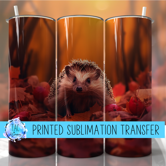 Hedgehog - Sublimation Print (This Is Not A Digital File)