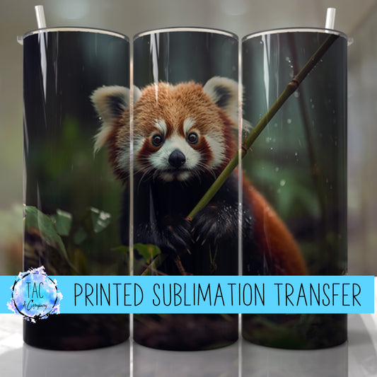 Red Bear- Sublimation Print (This Is Not A Digital File)