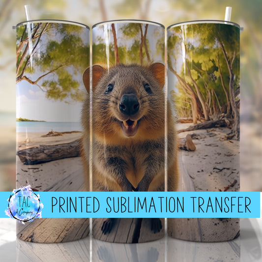 Quokka - Sublimation Print (This Is Not A Digital File)