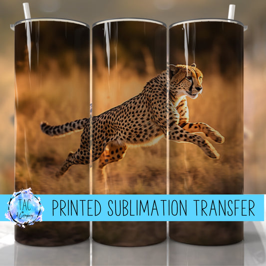 Cheetah Cat - Sublimation Print (This Is Not A Digital File)