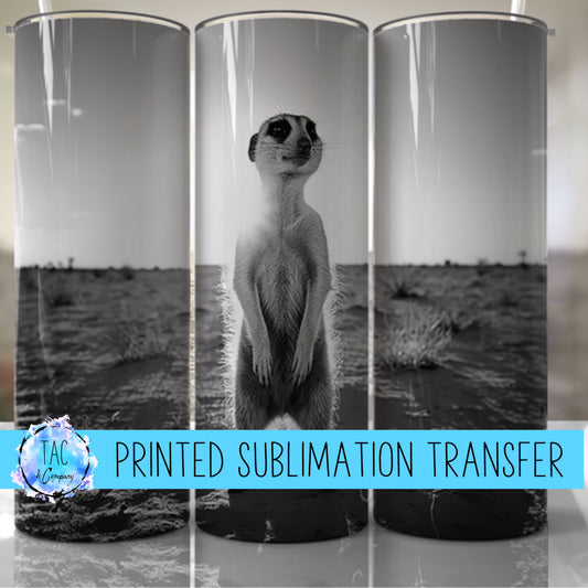 Otter - Sublimation Print (This Is Not A Digital File)