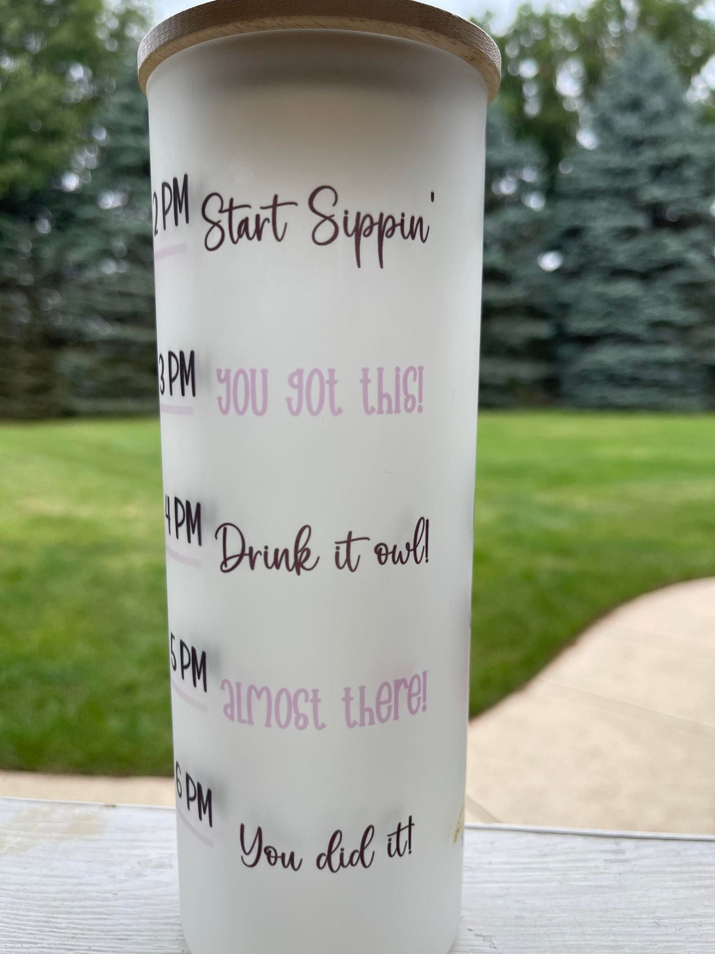 Owl Water Tracker - 25 oz Glass with wood Lid and plastic Straw