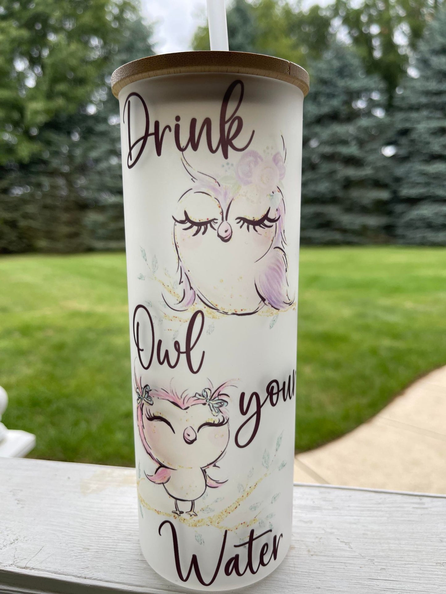 Owl Water Tracker - 25 oz Glass with wood Lid and plastic Straw