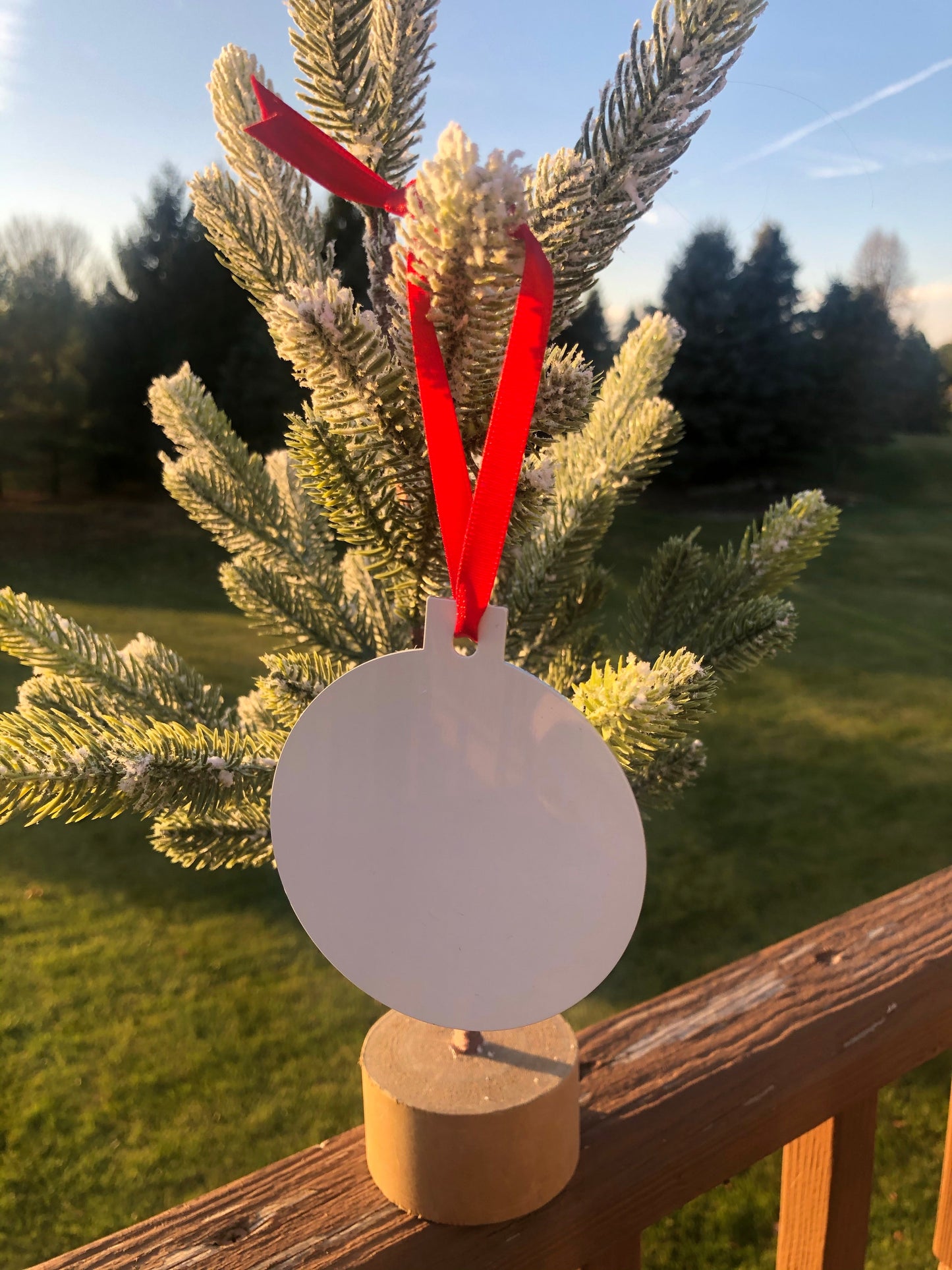 Custom Ornament