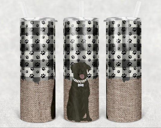 Chocolate Lab Dog - 20 oz Skinny Tumblers w/ Lid and Metal Straw