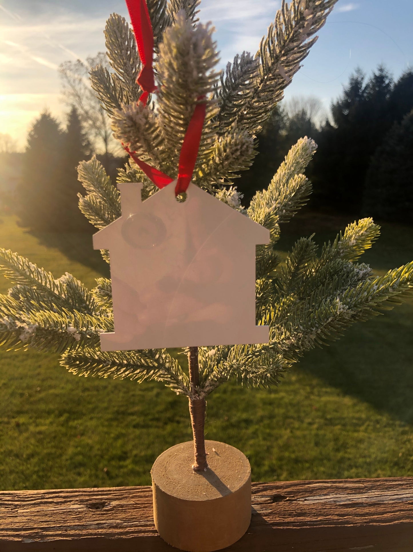Custom Ornament