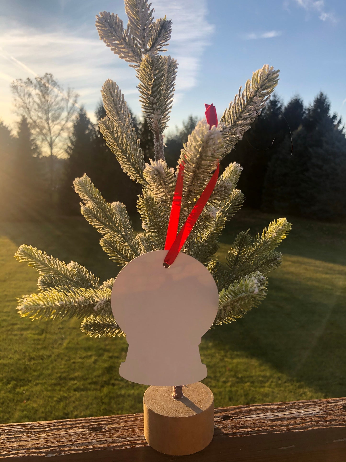 Custom Ornament