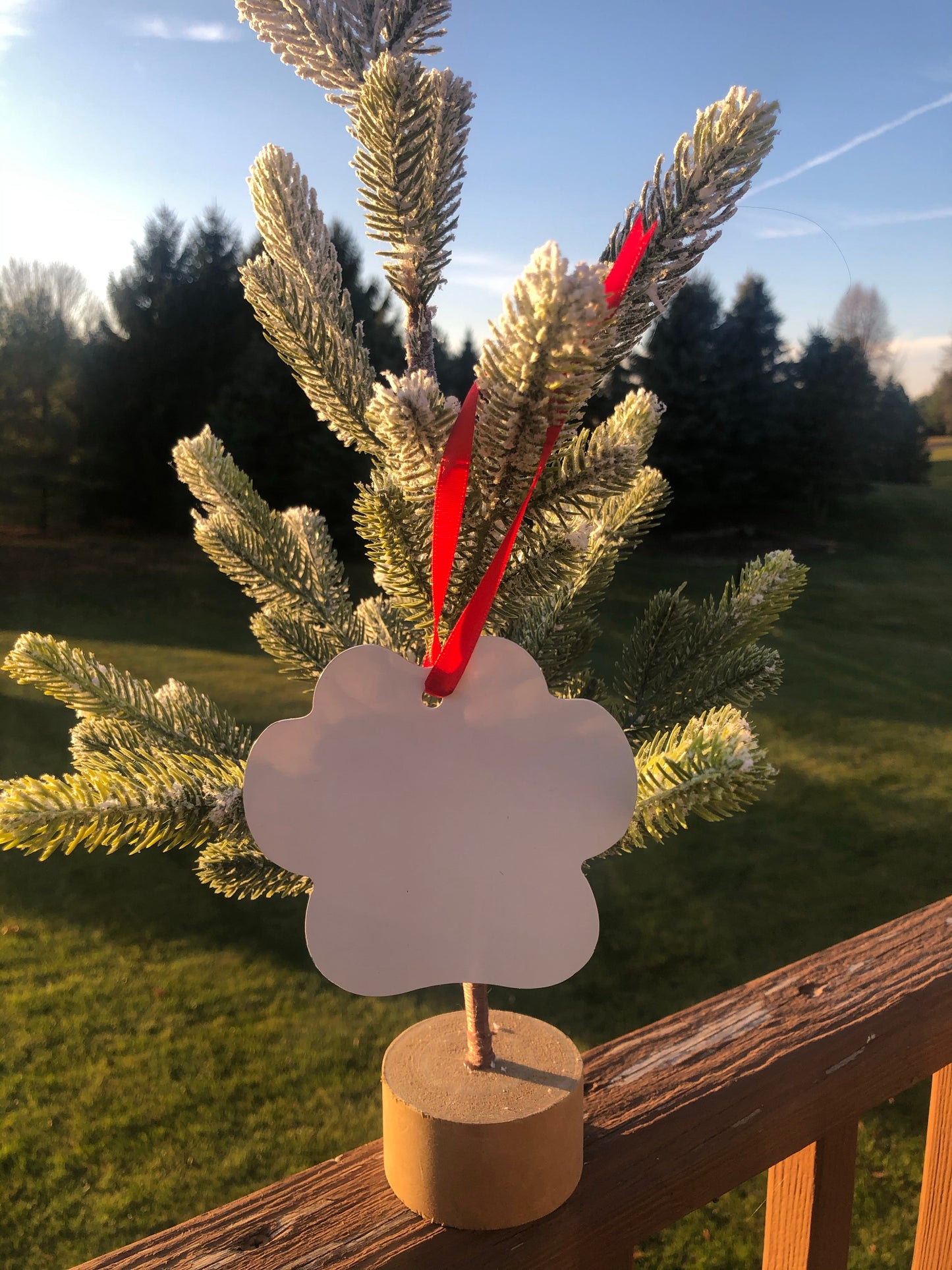 Custom Ornament