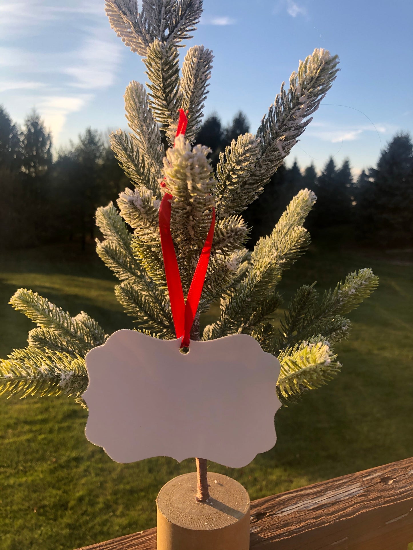 Custom Ornament