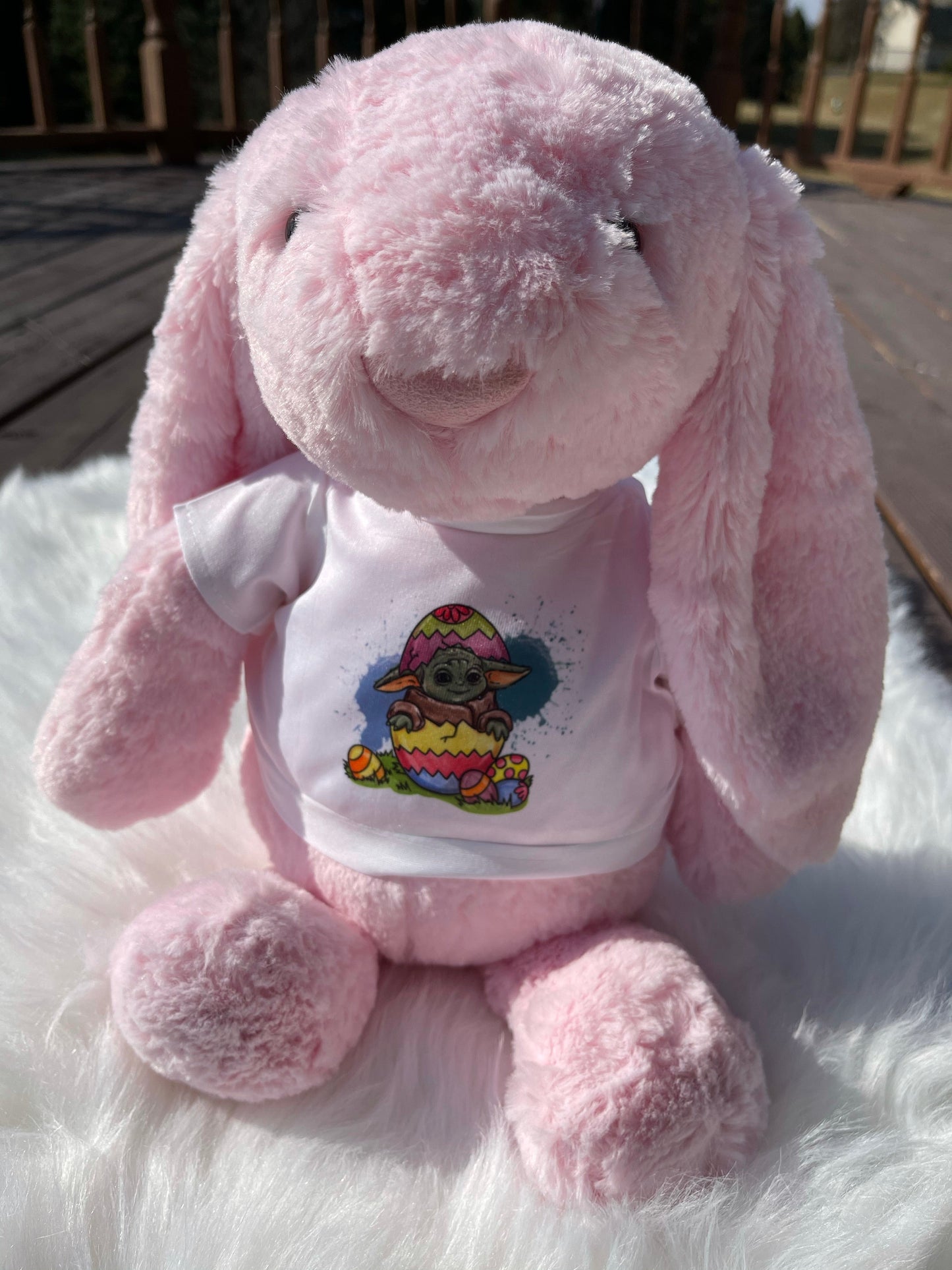 Bunnies with T-Shirts